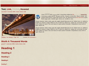 Preview template: NewArt per Wordpress 3.2