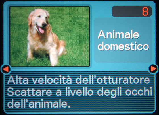 La modalità animali domestici in una digicam