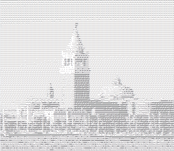 Il risultato della trasformazione di una foto in ASCII Art