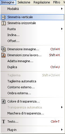 Il comando Simmetria verticale in Photofiltre