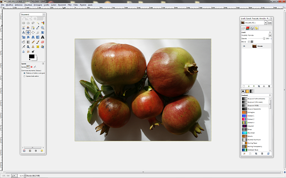L'immagine di partenza in Gimp