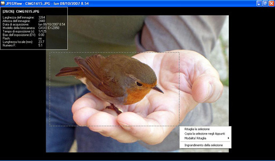 La selezione con JPEGView