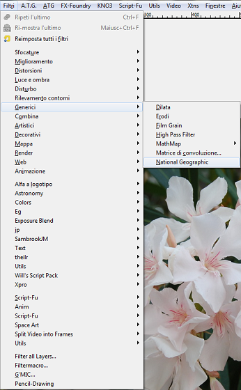 Il filtro National Geographic per Gimp