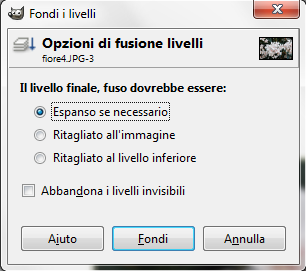 Unificare i livelli visibili in Gimp