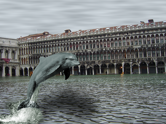 Il delfino in piazza realizzato con Gimp