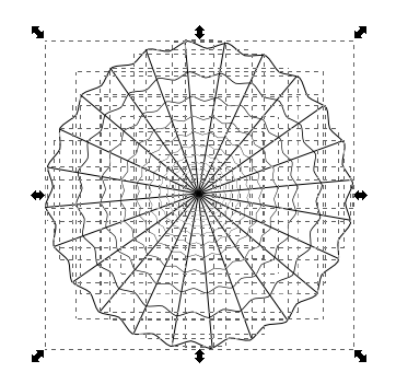 La ragnatela simmetrica