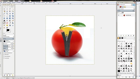 Il risultato finale in Gimp