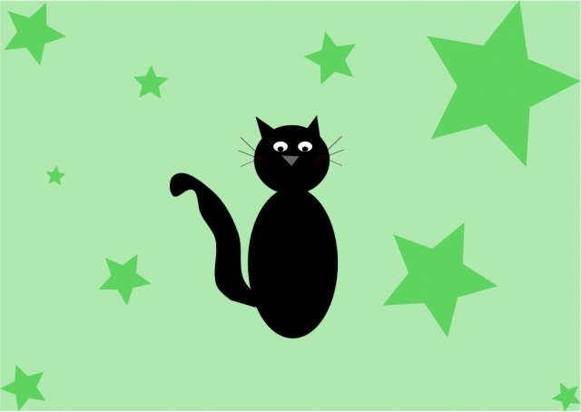 gatto