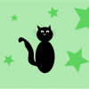 gatto