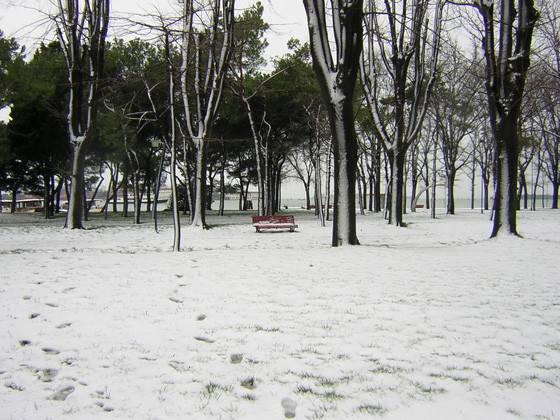 Veduta di un parco a Venezia con la neve