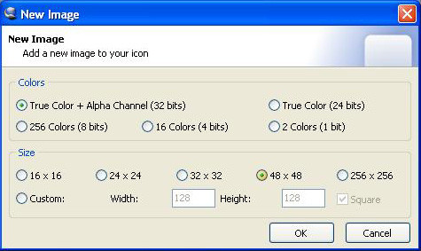 Regoliamo la quantità di colori e la dimensione dell'icona con IcoFX