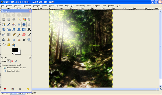 Il risultato finale in Gimp