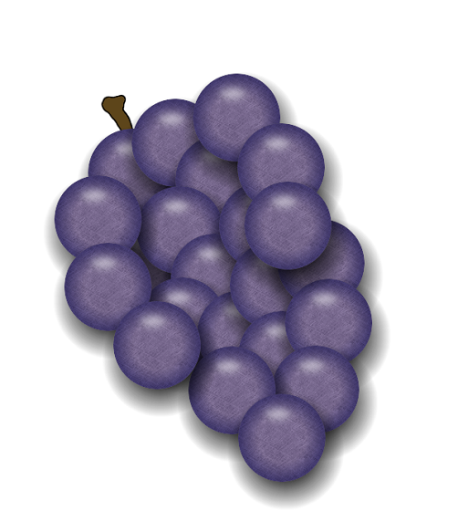 Il grappolo d'uva disegnato con Gimp