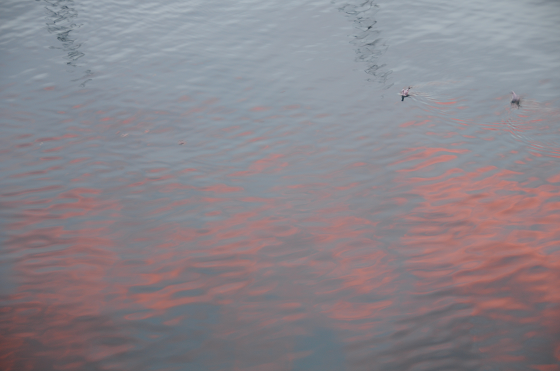 Nuvole rosse riflesse sull'acqua