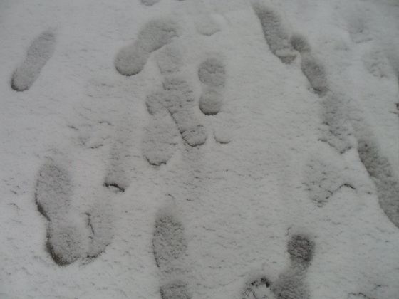 Impronte sulla neve