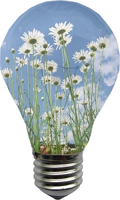 La lampadina con i fiori